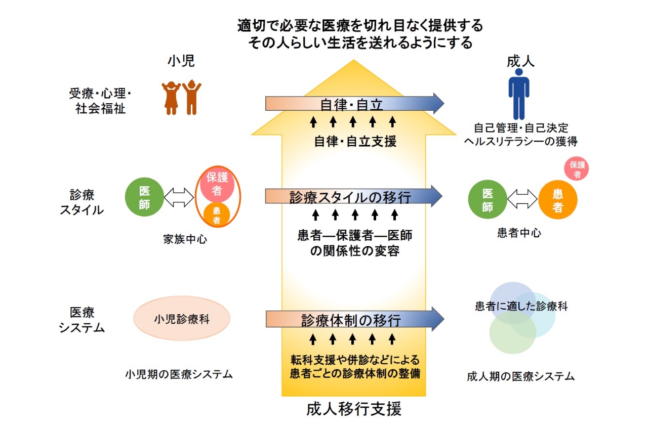 成人移行支援の概念図